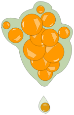 Ame du Kralamoure