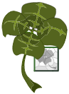 Aubaine