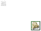 Coriacité