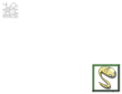 Elasticité