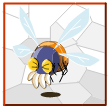 Maloria