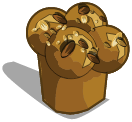 Briochette