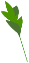 Seigle