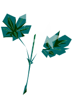 Houblon Brillant