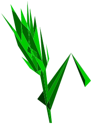 Orge