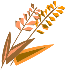 Malt