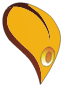 Pétale Morito