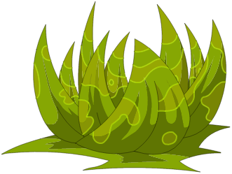 Calice de Fécorce