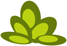 Feuille de Fourbasse