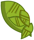 Feuille de Bulbuisson