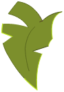 Feuille de Kokoko