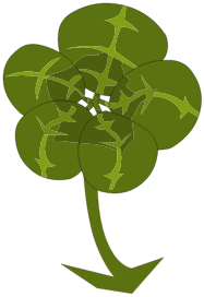 Trèfle à 5 feuilles