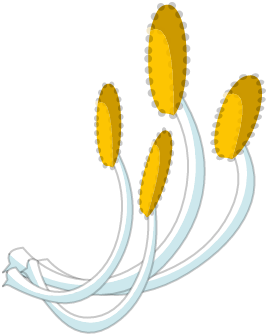 Etamine de Floribonde