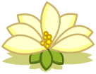 Fleur de Lotus