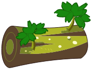 Bois d\'Orme