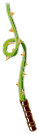 Baguette Larvesque