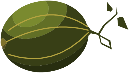 Pastèque