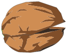Coque de Noix