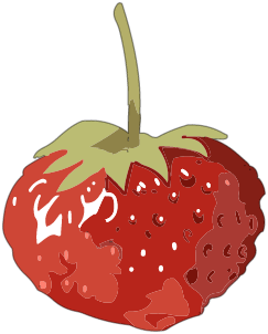 Fruit