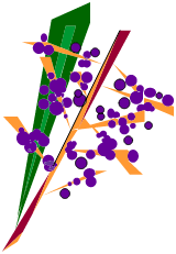 Fruit de Palme