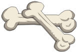 Fémur du Chafer Archer