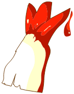 Os