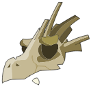 Crâne de Chef Crocodaille