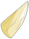 Corne de Dragoss Blanc