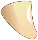 Dent de Shin Larve