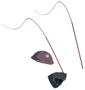 Hormone de Dragoune Noire