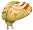 Fragment de cerveau poli