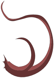 Poil d\'aisselle de Pumbaa