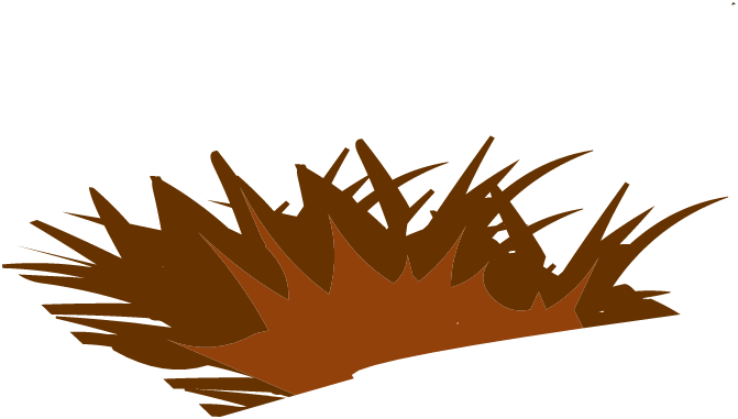 Poil d\'Ouginak