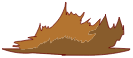 Poils du Sanglier