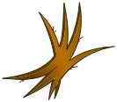 Poil de Bworkette