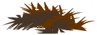 Etoffe du Sanglier