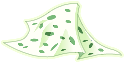 Etoffe de Fantôme Léopardo