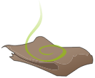 Etoffe de Sphincter Cell