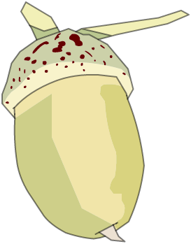 Gland