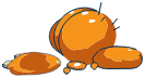 Peau de Larve Orange