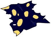 Peau de Mandrine
