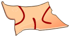 Peau de Don Dorgan