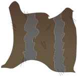 Peau du Rat Noir