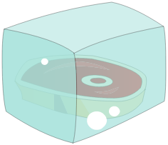 Viande d\'Ange Conservée