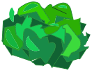 Feuille de Salace
