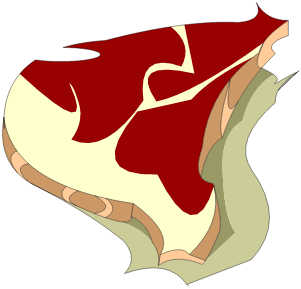 Bifstèque de Dragoviande