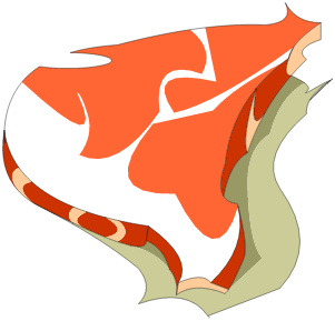 Bifstèque de Dragoviande **