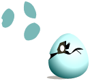 Oeuf de Bwak d\'eau