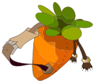 Sac-Cawotte