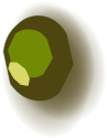Bouclier trophée du Kimbo